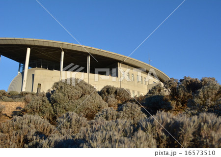 建物と植物 建物と植物 16573510