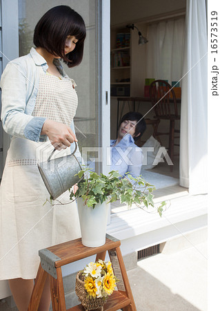 庭先でガーデニング　イメージ 16573519