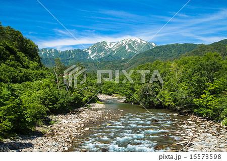 新潟県魚沼市・銀山平　北ノ又川を越後駒ヶ岳（横構図） 16573598