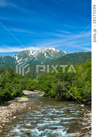 新潟県魚沼市・銀山平　北ノ又川を越後駒ヶ岳（縦構図） 16573599