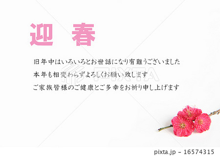 年賀状 紅梅 枝有 桃色迎春 年賀状 紅梅 枝有 桃色迎春 16574315