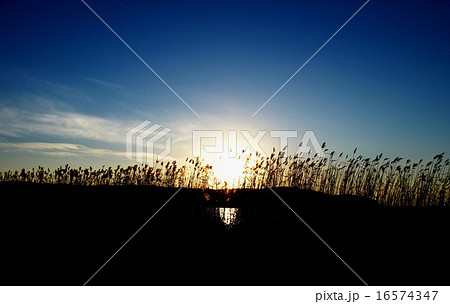 湖畔の夕日 湖畔の夕日 16574347