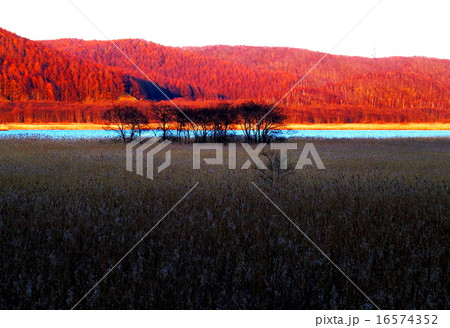 夕焼けの湖畔 16574352