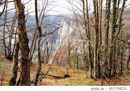 プリトヴィッツェ湖群国立公園 プリトヴィッツェ湖群国立公園 16579820