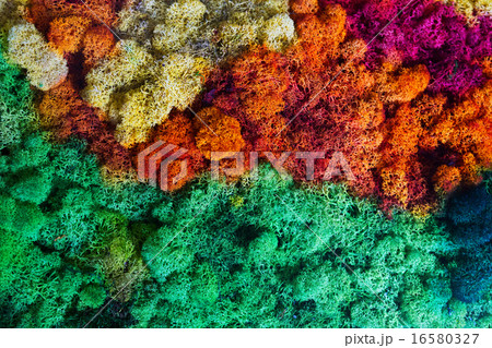 Nature background 16580327