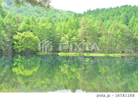 2015 初夏の御射鹿池 2015 初夏の御射鹿池 16581168
