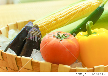夏野菜 16581415