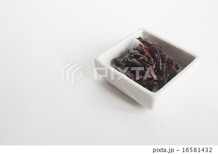 イナゴの佃煮 16581432