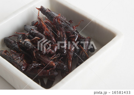 イナゴの佃煮 イナゴの佃煮 16581433