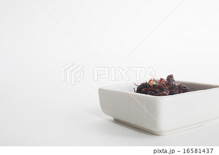 イナゴの佃煮 イナゴの佃煮 16581437