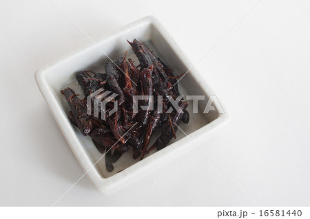 イナゴの佃煮 16581440