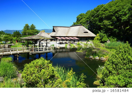 遠野　夏のたかむろ水光園 16581484
