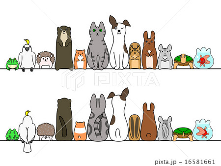 ペット 小動物 正面 後ろ姿 コピースペースのイラスト素材