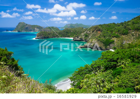 小笠原諸島 父島 中山峠 小笠原諸島 父島 中山峠 16581929