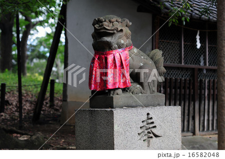 愛宕神社の狛犬-5 愛宕神社の狛犬-5 16582048