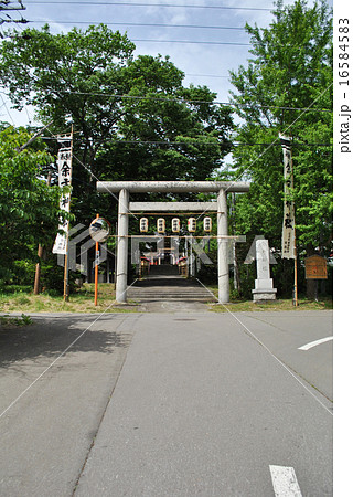 北海道余市神社・鳥居（例祭） 16584583