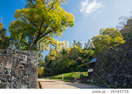 秋の人吉城跡 16584726