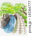 京都 哲学の道 手描きイラスト 16584777