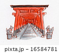 京都　伏見稲荷の鳥居　手描きイラスト 16584781