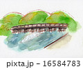 京都嵐山　渡月橋　手描きイラスト 16584783