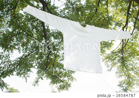 洗濯干し 洗濯物 洗濯干し 洗濯物 16584787