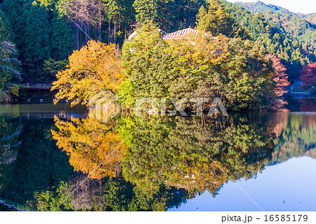 鎌北湖の紅葉 鎌北湖の紅葉 16585179
