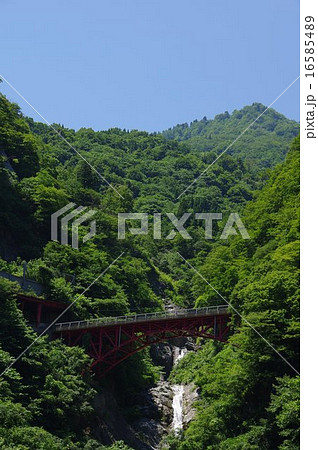 長野新潟県境　蒲原沢と旧国界橋遠望（縦） 16585489