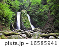 小菅村の雄滝 16585941