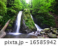 小菅村の雄滝 16585942