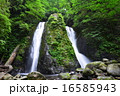小菅村の雄滝 16585943