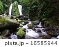 小菅村の雄滝 16585944