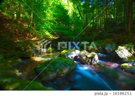 渓流の流れ　 16586251