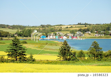 フレンチリバー フレンチリバー 16586323