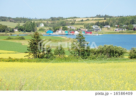 フレンチリバー フレンチリバー 16586409