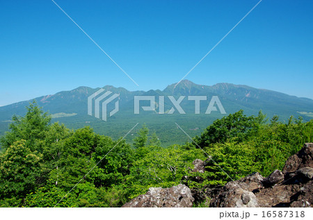 平沢峠から眺めた八ヶ岳 16587318