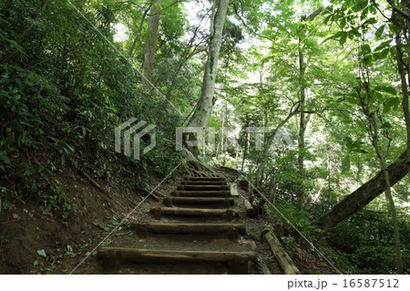 高尾山 16587512