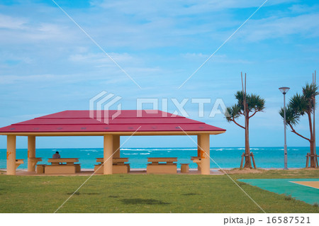 沖縄の美らSUNビーチから海を望む 16587521