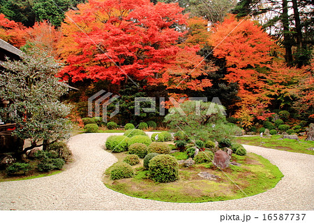 曼殊院門跡 京都 庭園の紅葉の写真素材