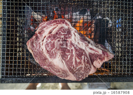 ワイルドバーベキュー 16587908