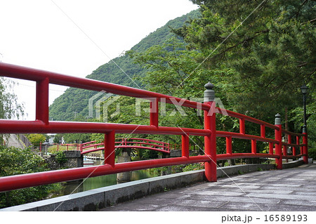 水記念公園遊歩道 16589193