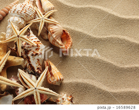 Sea shell on sand Sea shell on sand 16589628
