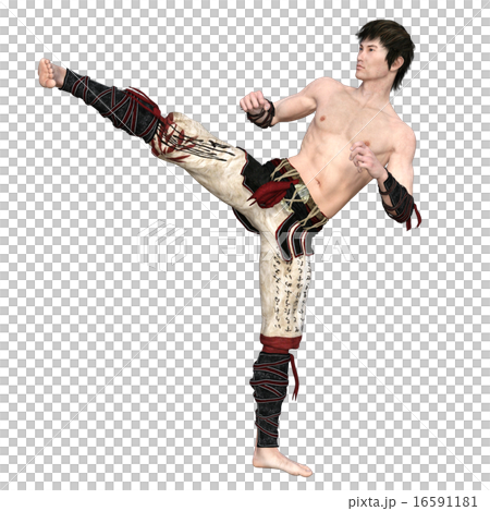 Kung Fu Master 16591181