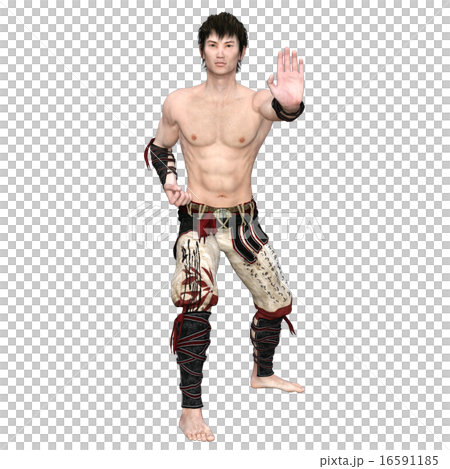 Kung Fu Master 16591185