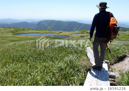 虎毛山の山頂の湿原に着いた男性 16591226