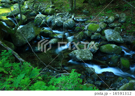 世界遺産　釜石　橋野高炉跡　渓流 16591312