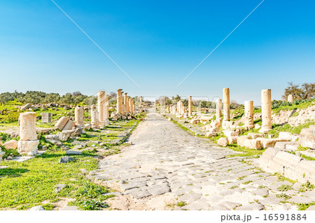 ウンム・カイス(ヨルダン北部) ウンム・カイス(ヨルダン北部) 16591884