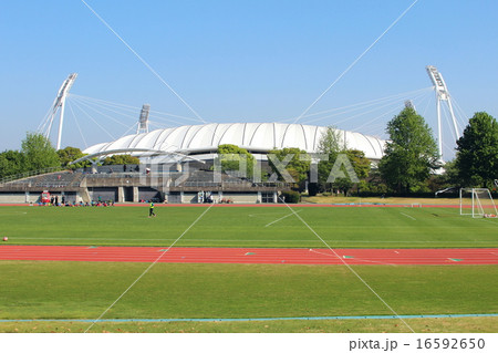 熊本県民総合運動 熊本県民総合運動 16592650