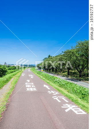多摩川　サイクリングロード 16592737