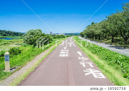 多摩川　サイクリングロード 16592738