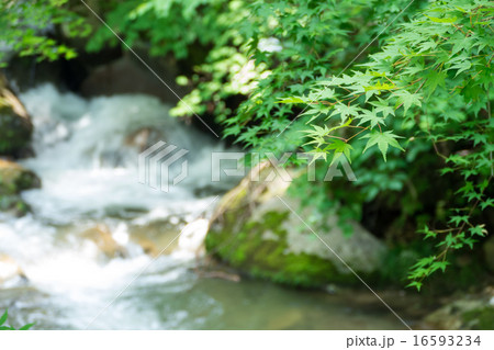 清流 清流 16593234
